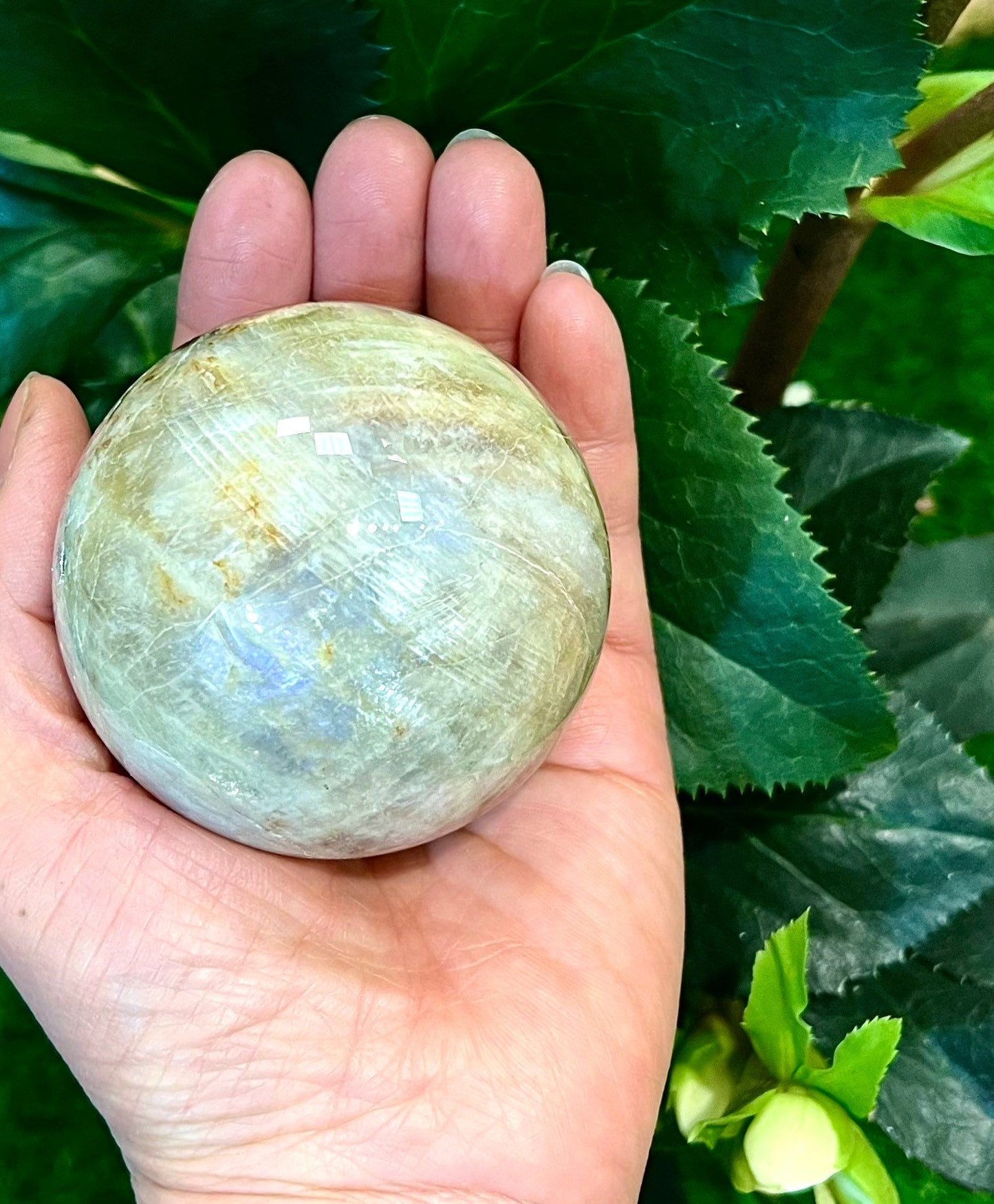 Wholesale Lot 2-3 Pcs Natural Moonstone Spheres Crystal Ball 1.9-2 Lb Healing Energy