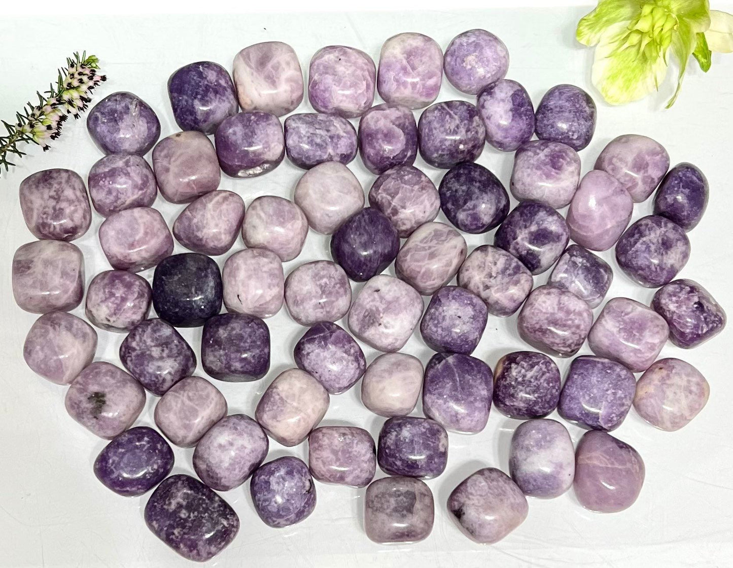 Wholesale Lot 2 Lbs Natural Lepidolite Tumble Healing Energy Nice Quality