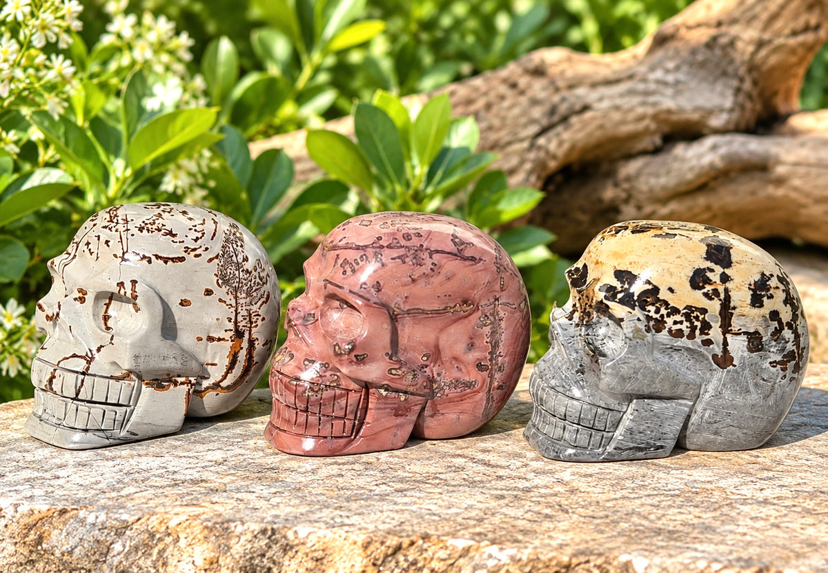 Wholesale lot 3 Pcs Natural Picture Jasper Crystal Skulls Healing Energy