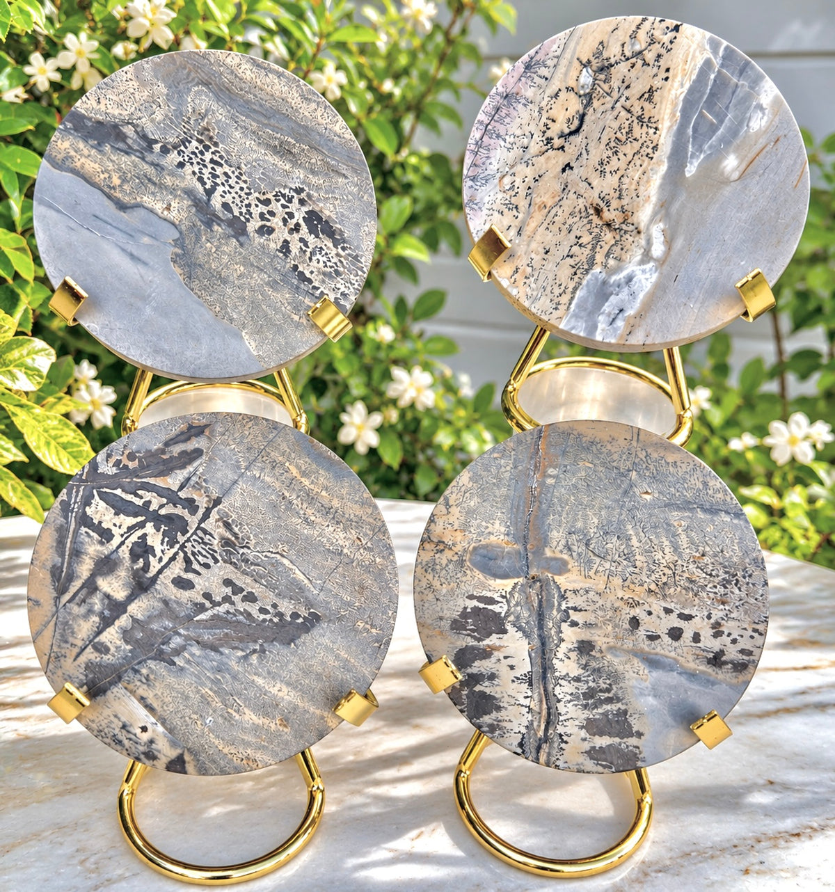 Wholesale Lot 4 pcs Natural Picture Jasper Slab with stand Crystal Healing Energy