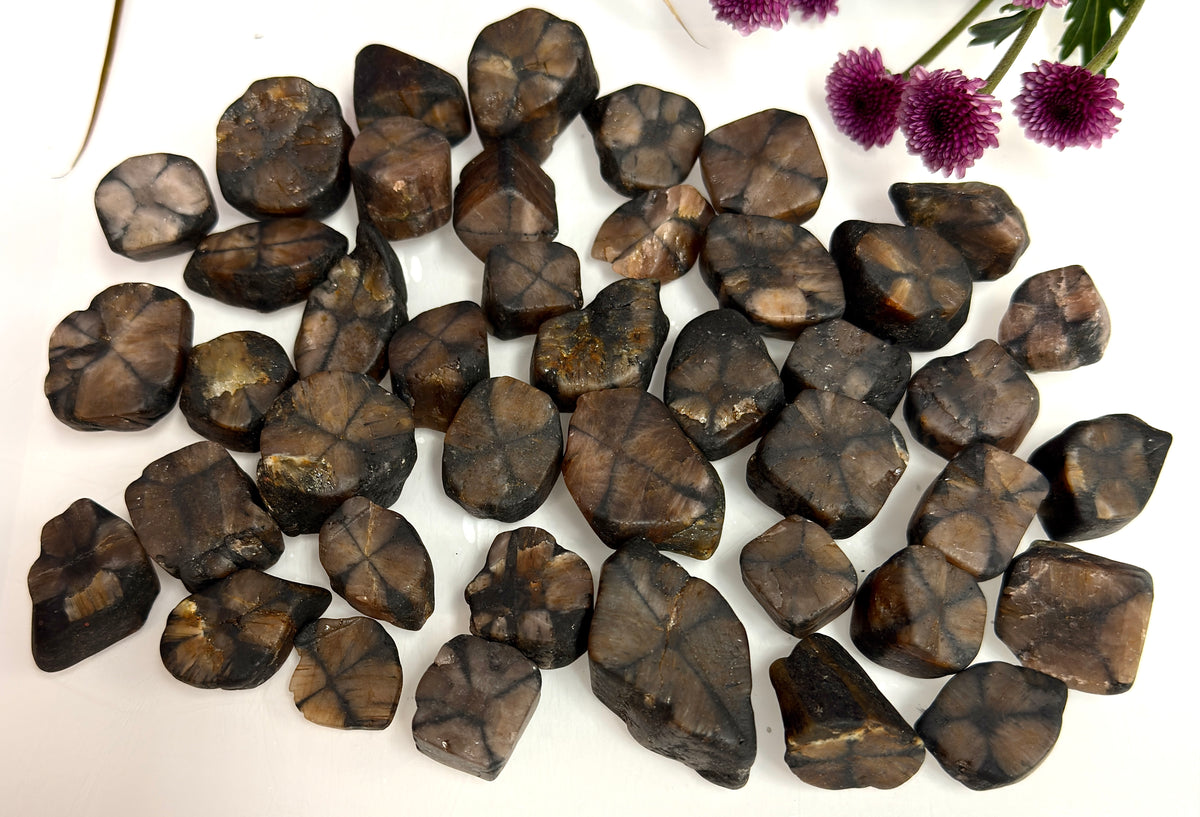 Wholesale Lot 2 lbs Natural Chiastolite Tumble Andalusite Cross Stone Crystal Healing Energy