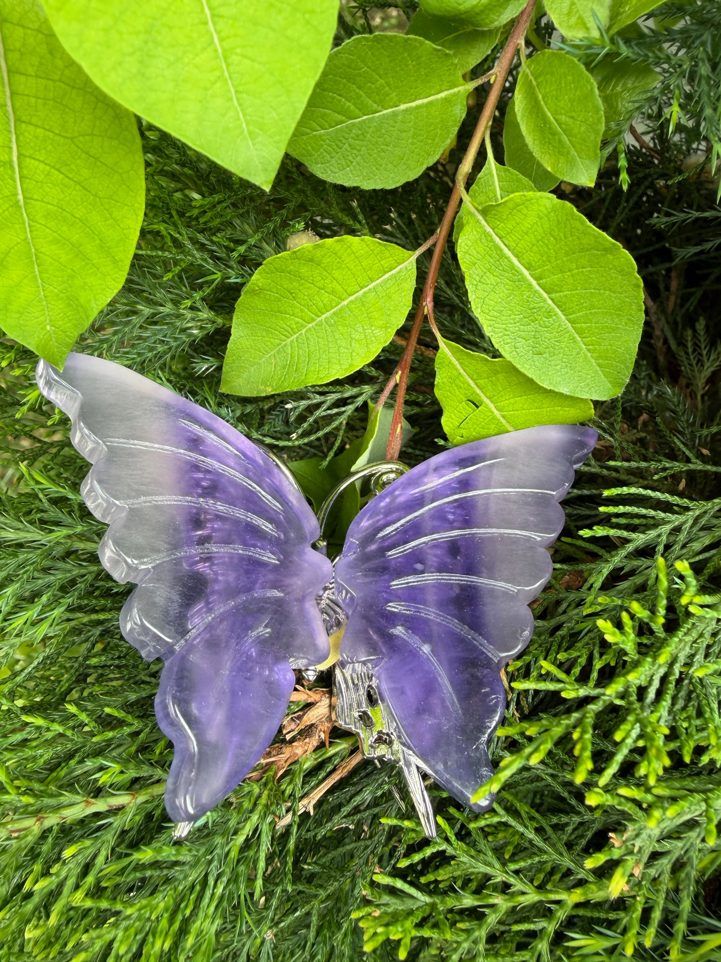 Wholesale Lot 5 pcs Natural Purple Fluorite Crystal Butterfly Healing