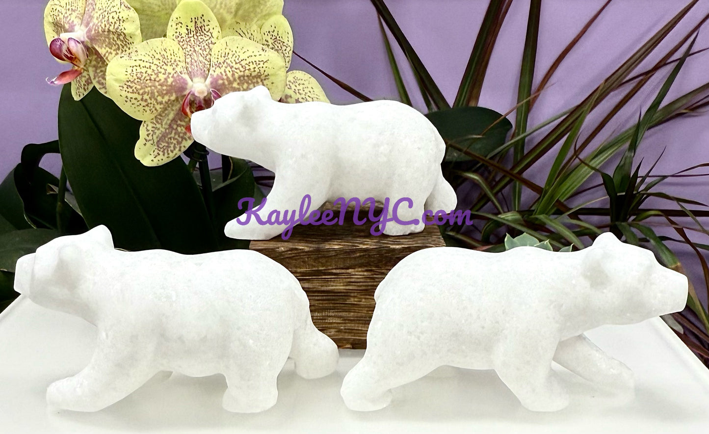 3 PCs Natural Snow Quartz Polar Bear Crystals Healing Energy