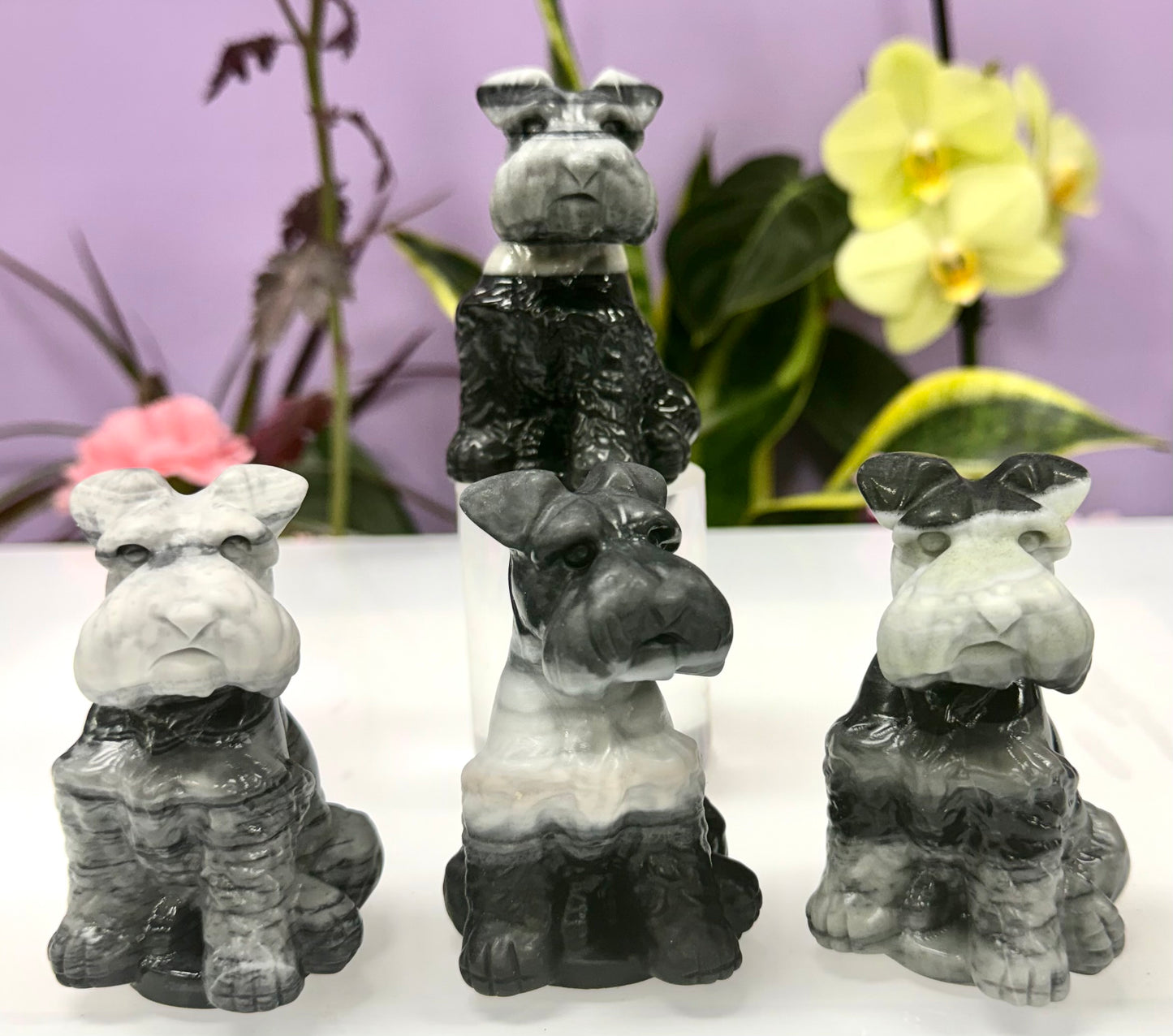 4 PCs Taiji Stone Schnauzer Dog Natural CrystalHealing Energy