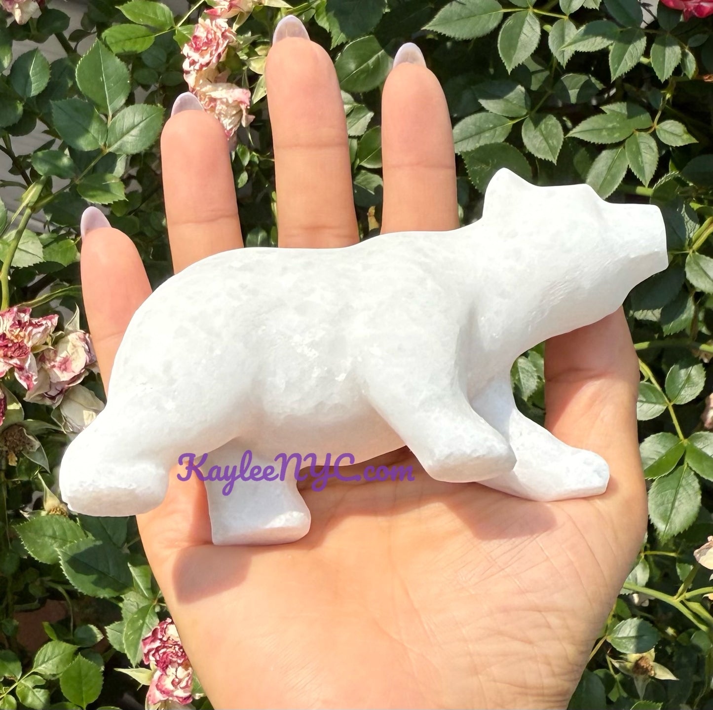 3 PCs Natural Snow Quartz Polar Bear Crystals Healing Energy