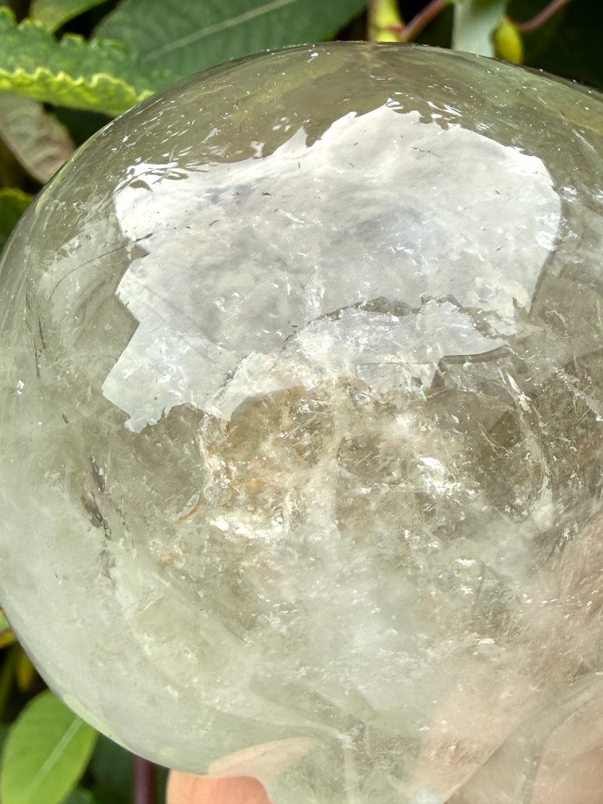 4 pcs Prasiolite Green Amethyst Skull Crystals Healing Energy