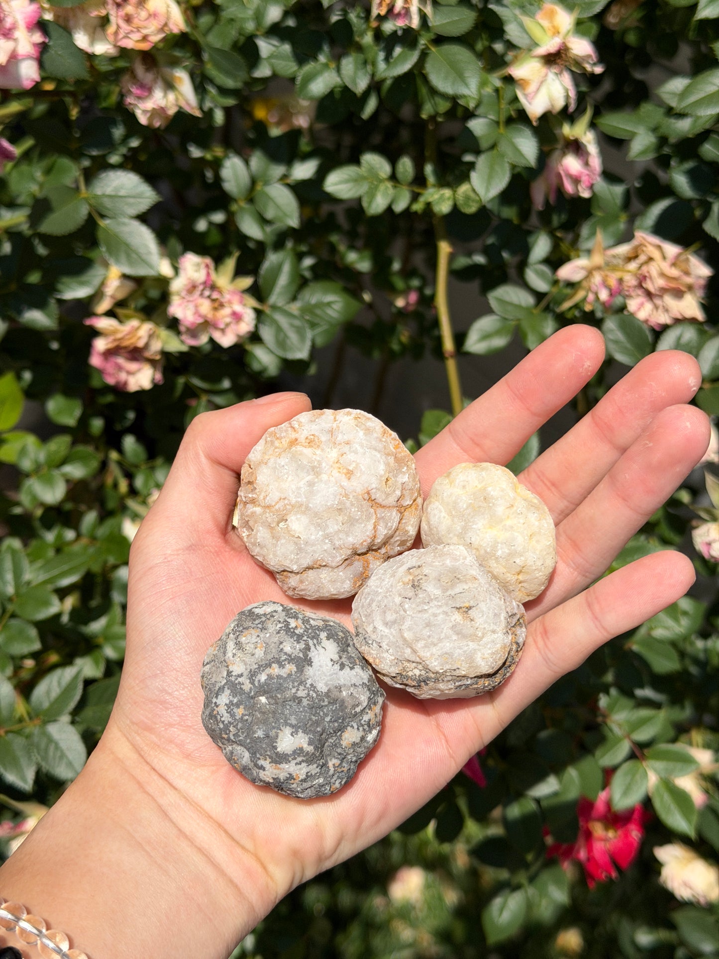Wholesale Lot – 2 lbs Natural Quartz Geodes – 12 to 16 PCS