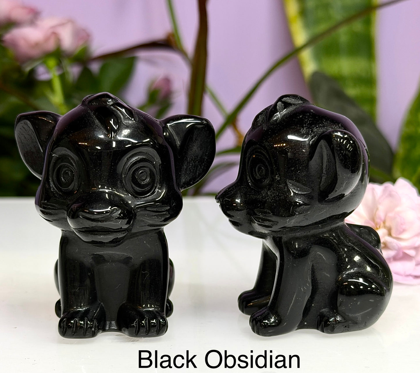5PCs 6cm Mixed Natural Crystal Lion Cub King Healing Energy