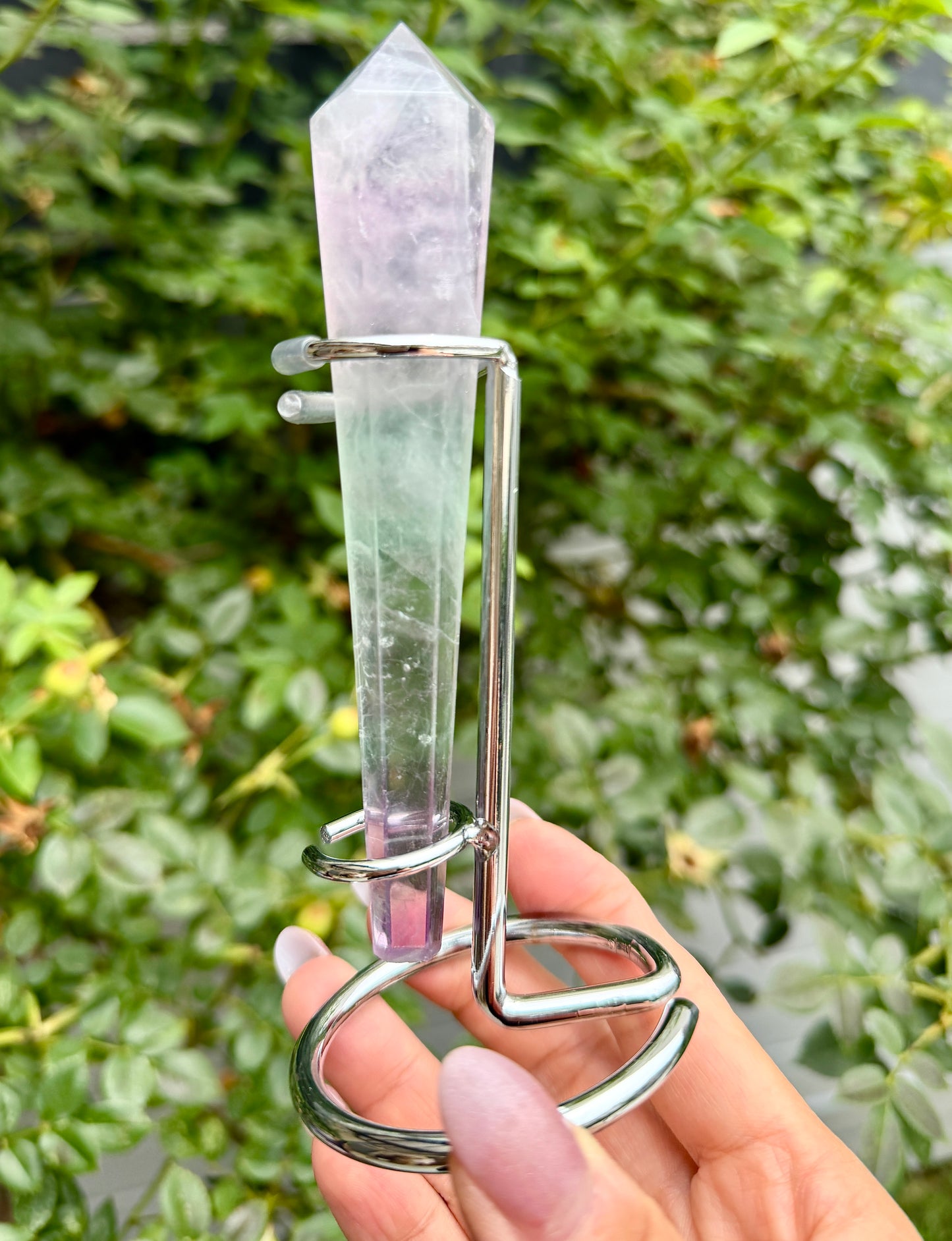 Wholesale Lot 5 pcs Natural Watermelon Fluorite Scepter w stand Crystal Energy