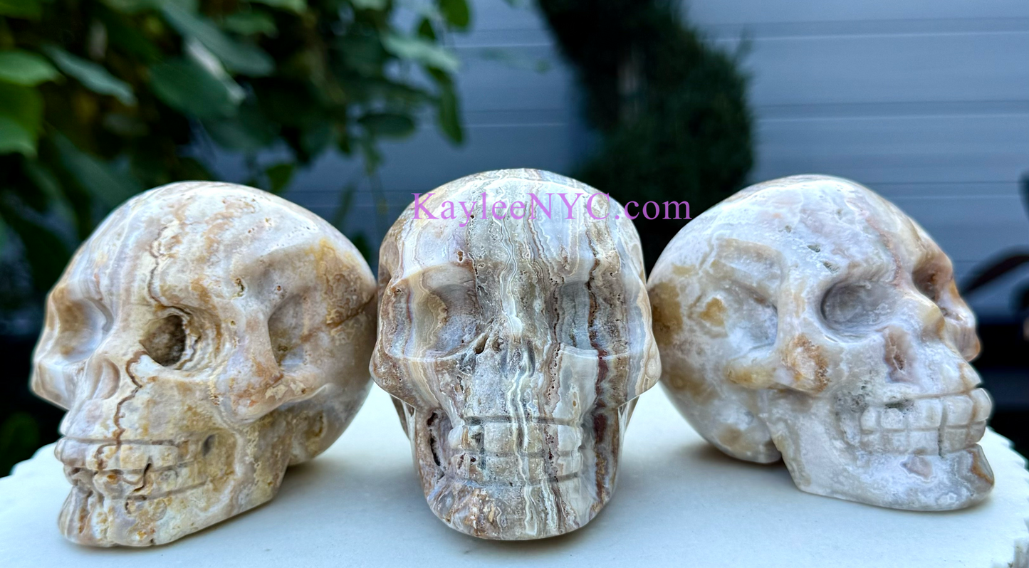 Wholesale lot 3 Pcs Natural Crazy Lace Agate Crystal Skull