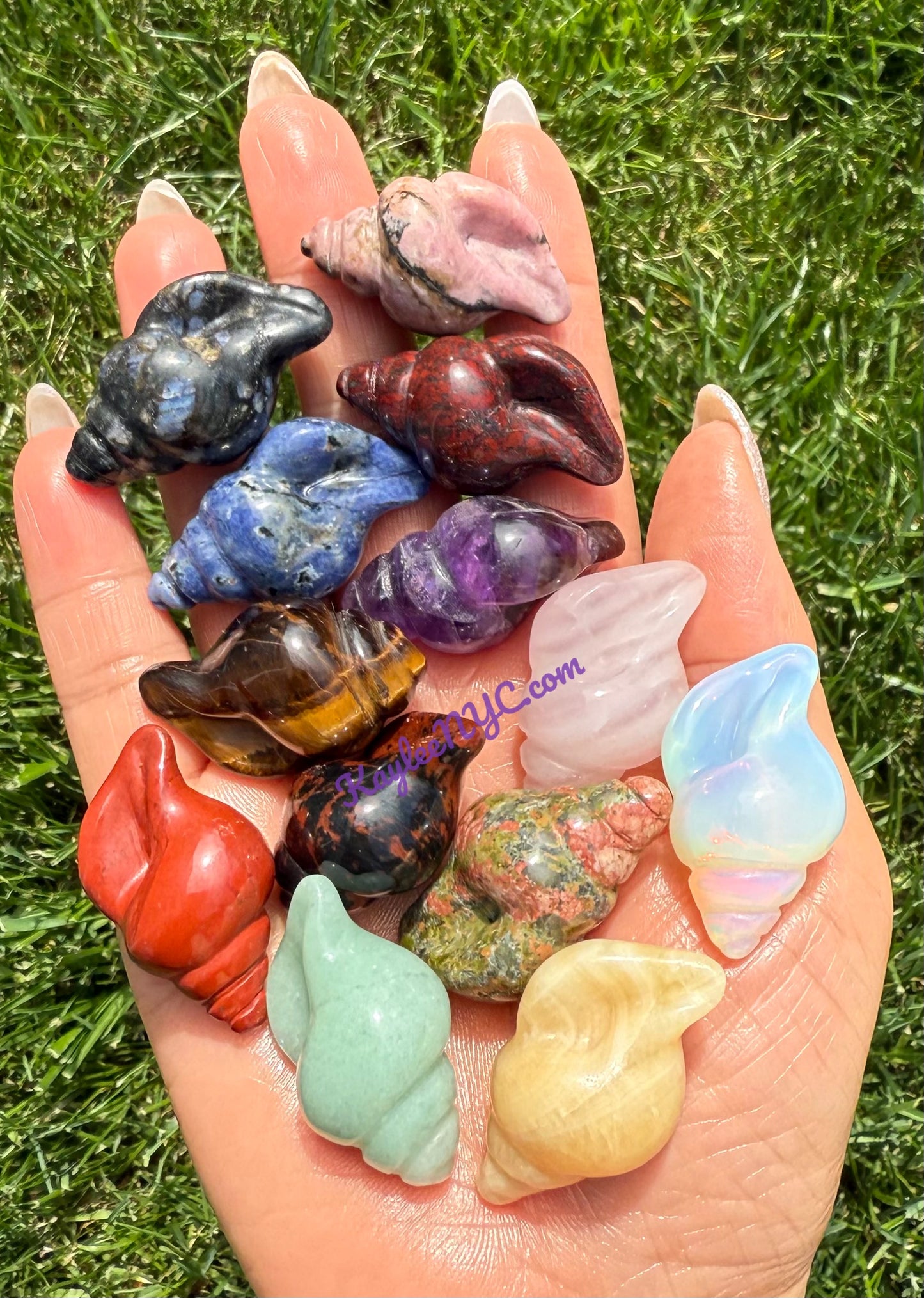 16 PCs 30mm Natural Crystals Sea Shell