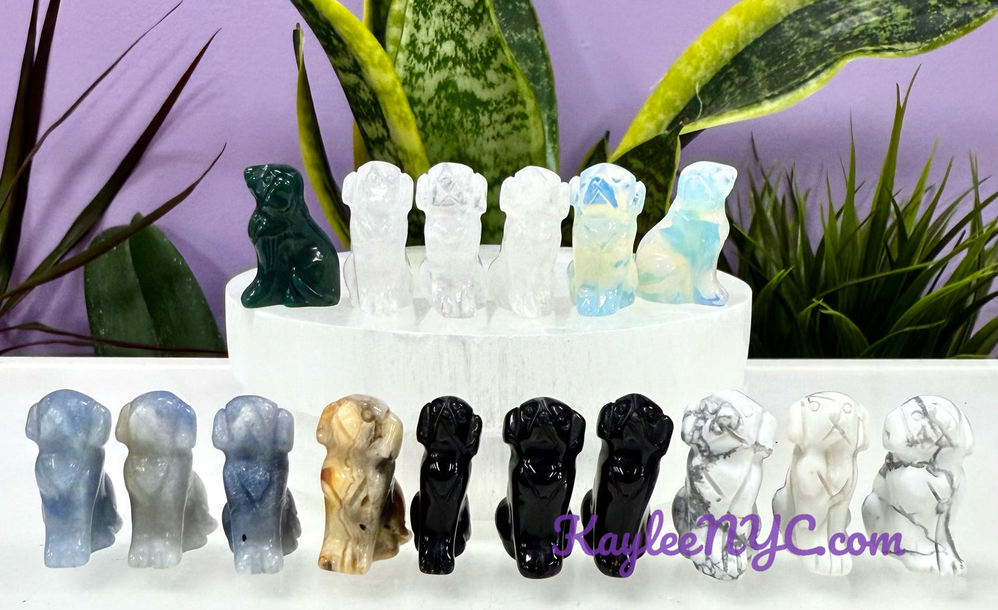 Wholesale Lot 16 PCs Mix Crystals Dogs Crystal Healing Energy