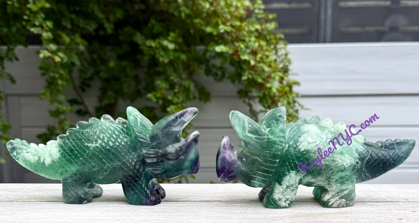 2 PCs Natural Fluorite Triceratops Dinosaur Crystals Healing Energy