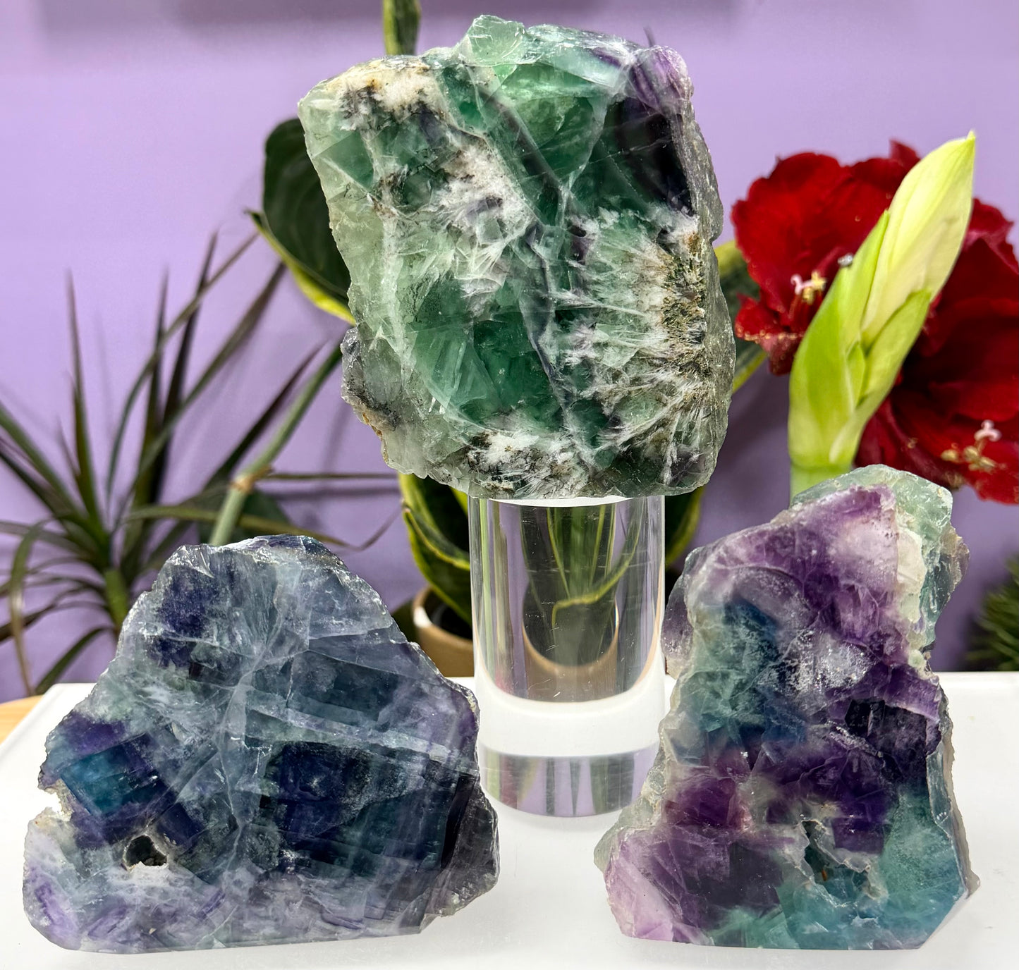 3-4 PCs Natural Rainbow Fluorite semi polished Slabs