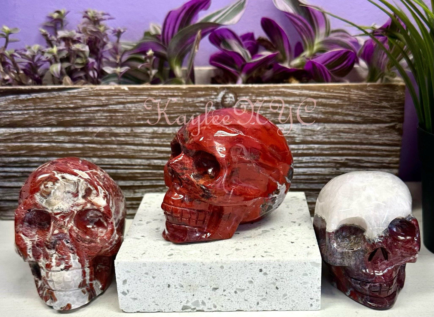 Wholesale lot 3 Pcs Natural Red Agate Crystal Skull