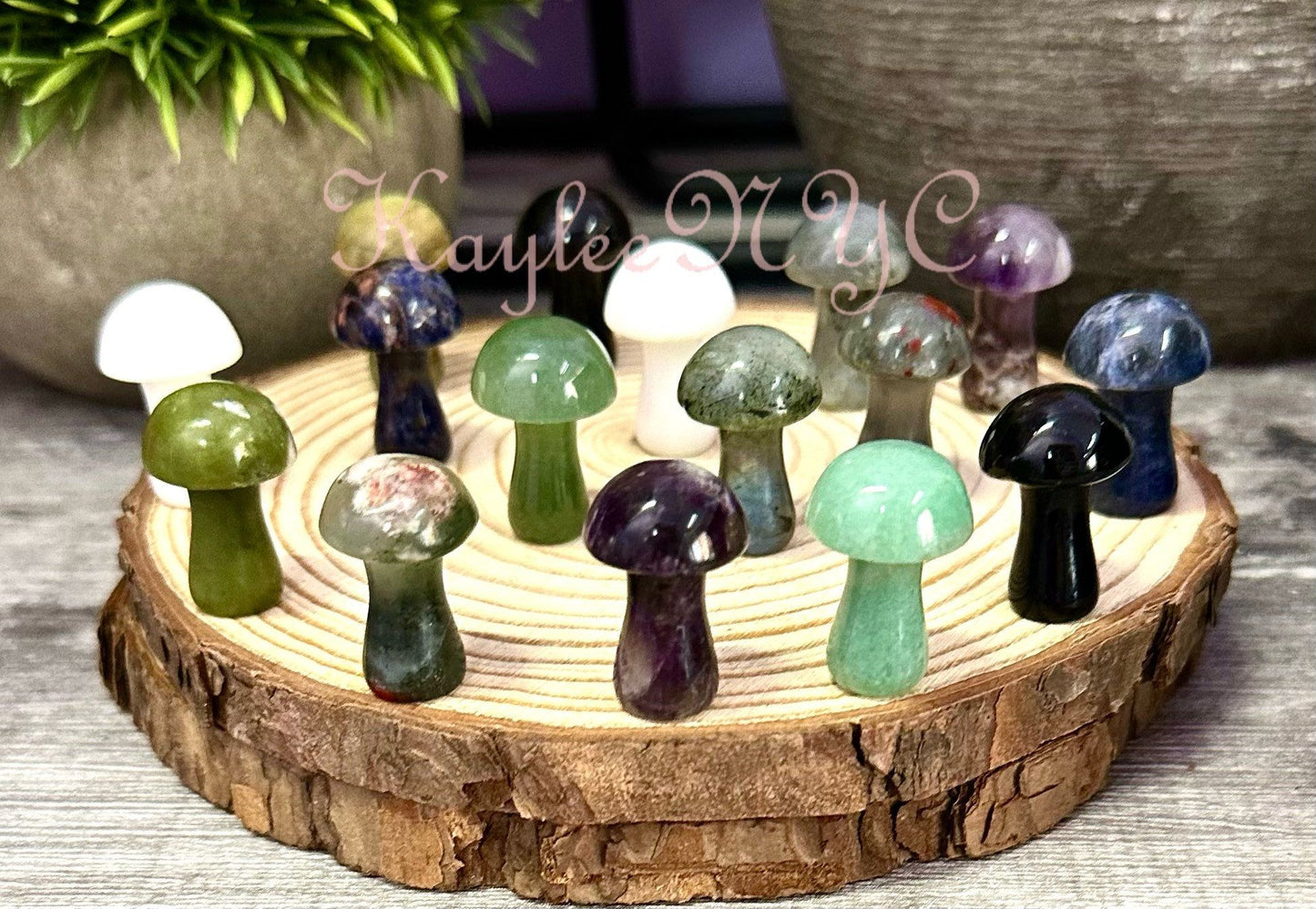 Wholesale Lot 16 PCs Mixed 1” Crystal Mushroom Healing Energy