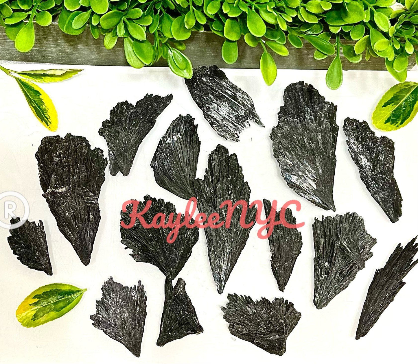 Wholesale Lot 1 Lb Natural Black Kyanite Crystal Healing Energy Nice Quality