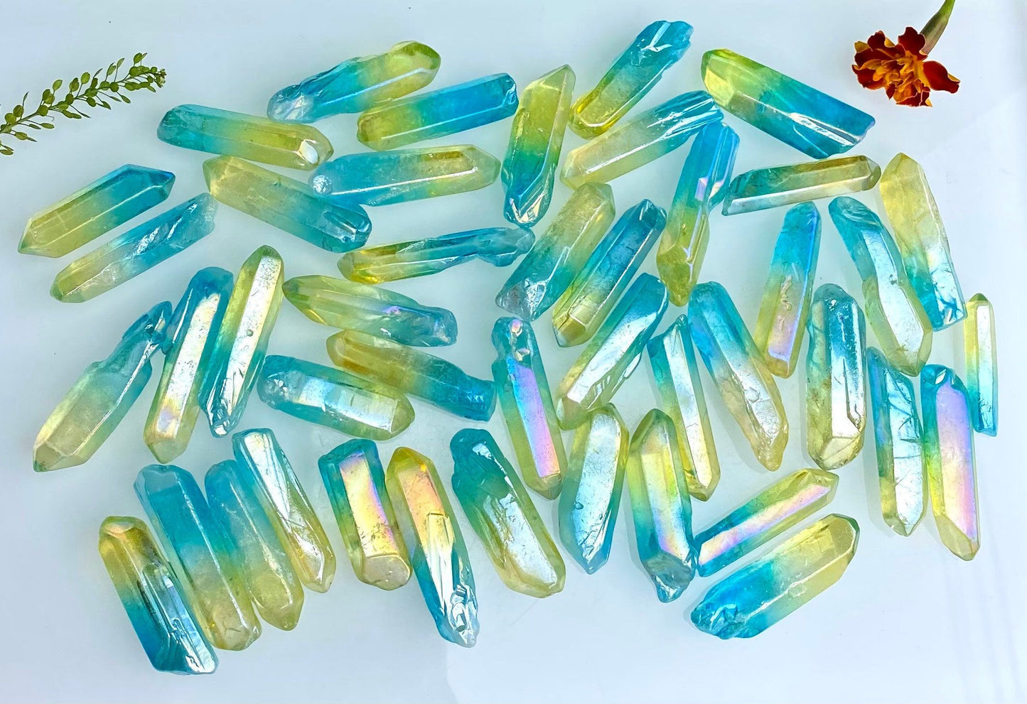 Wholesale Lot 1 Lb Rainbow Aura Quartz Wand Tumble Crystal Nice Quality