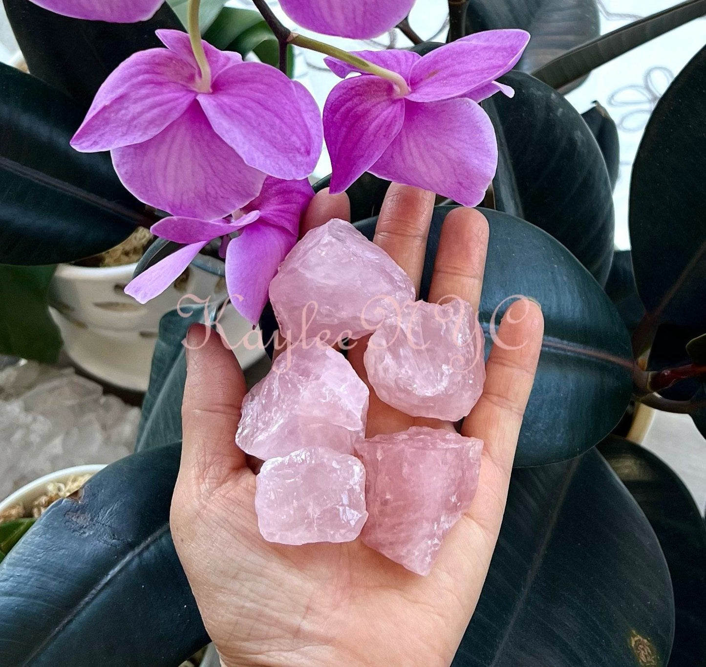 Wholesale Lot 2 Lbs Natural Raw Rose Quartz Crystal Nice Quality