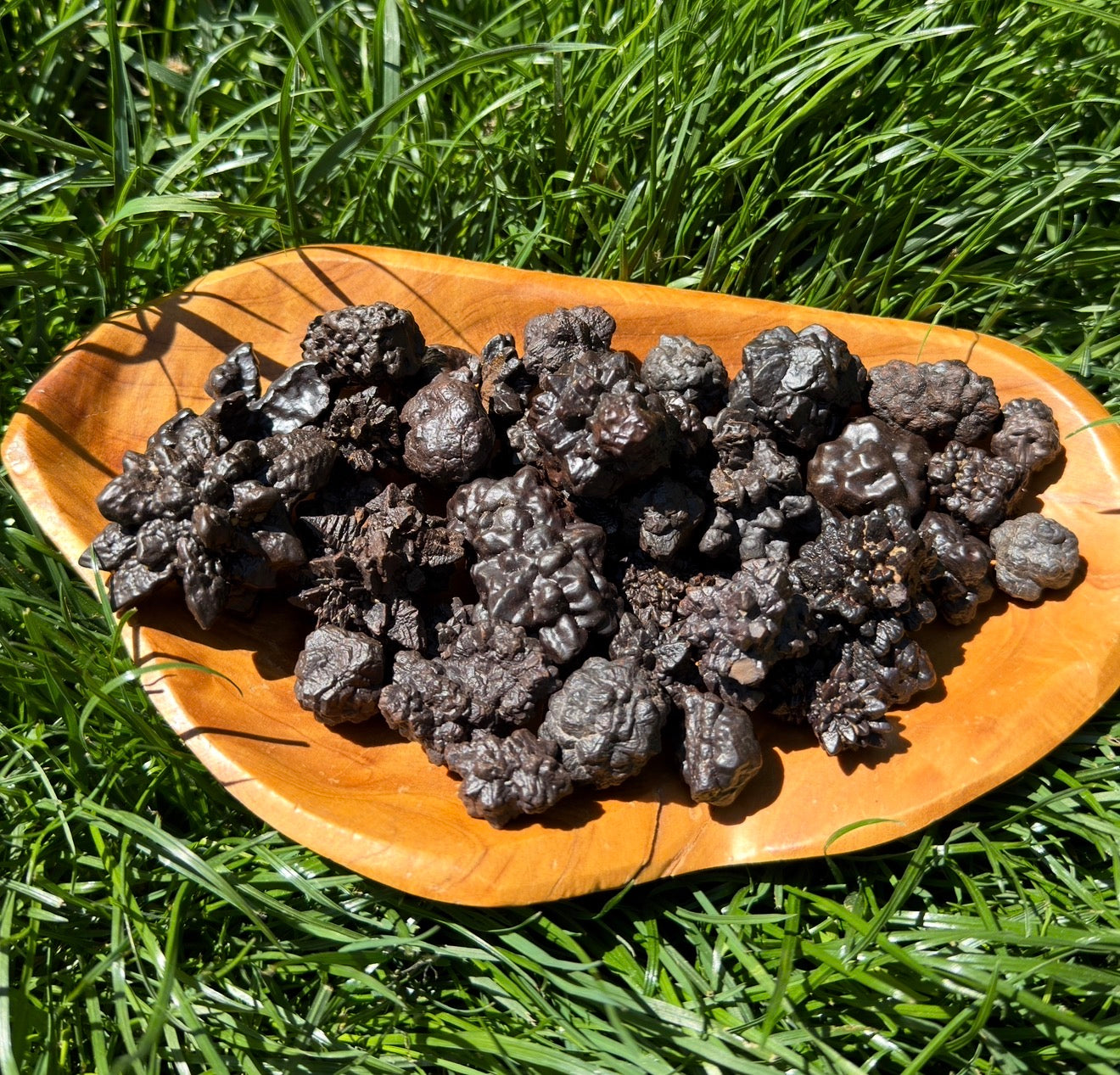 Wholesale Lot 2 Lbs Natural Prophecy Stones