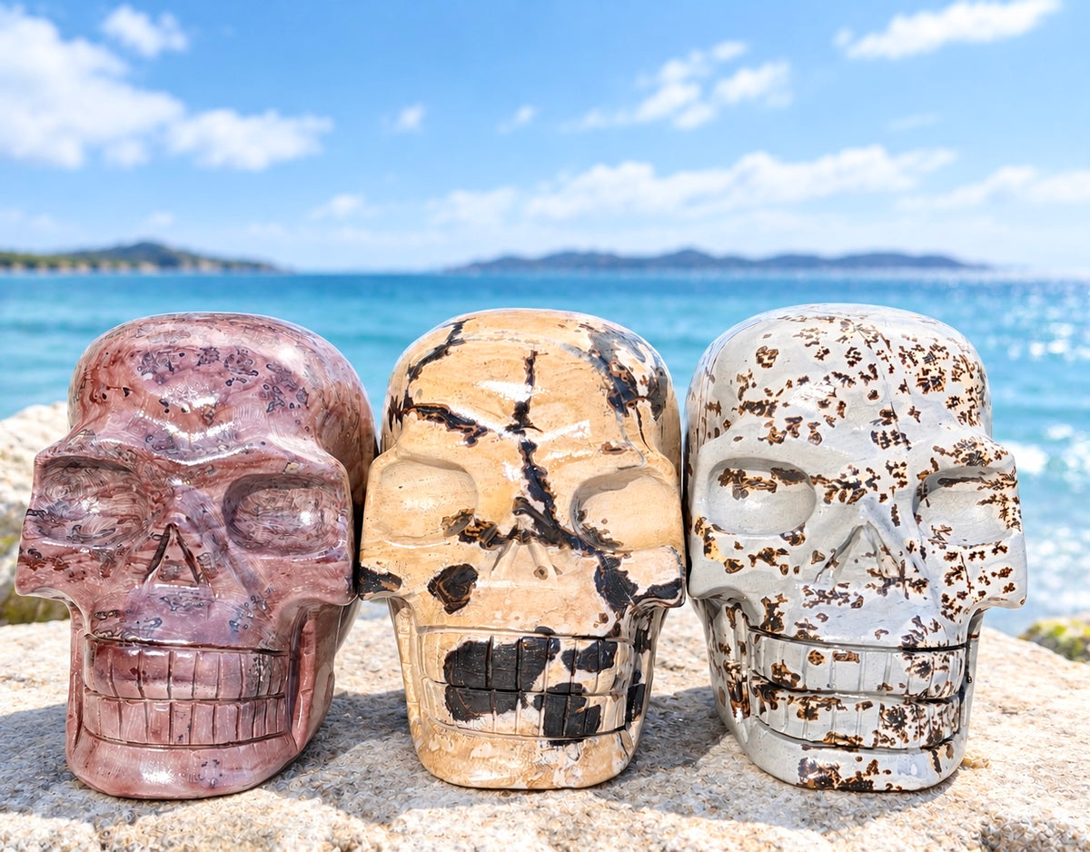 Wholesale lot 3 Pcs Natural Picture Jasper Crystal Skulls Healing Energy