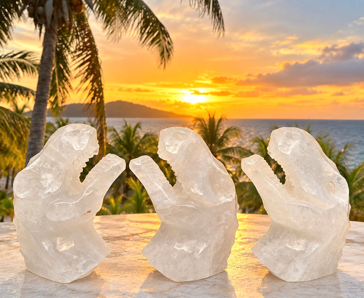 3 PCs Natural Clear Quartz Dinosaur Crystal Healing Energy