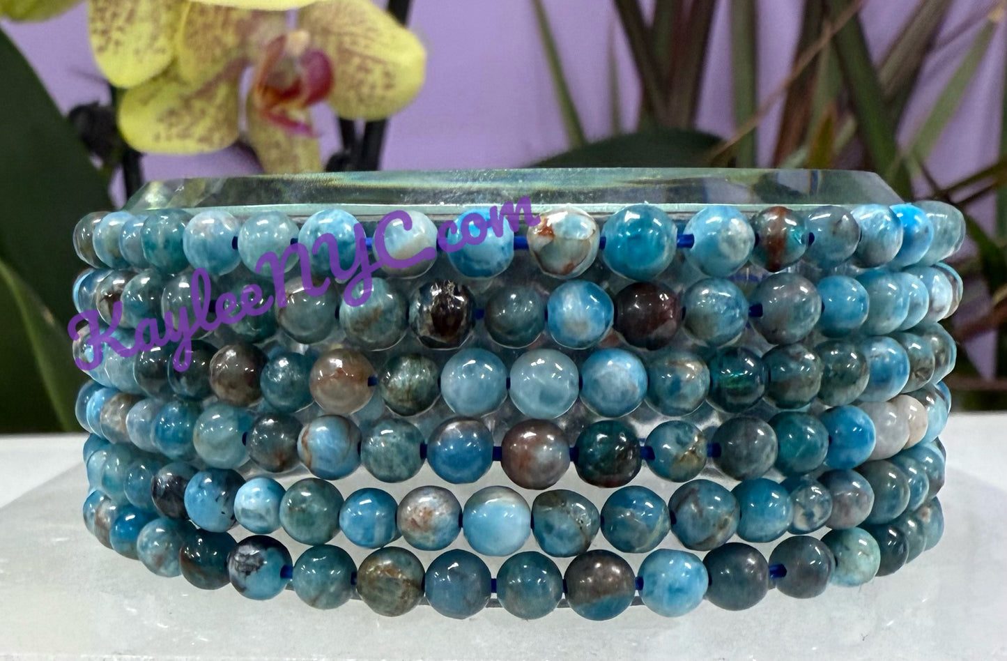 Wholesale Lot 6 Pcs Natural Apatite 4mm 7.5” Crystal Healing Stretch Bracelet