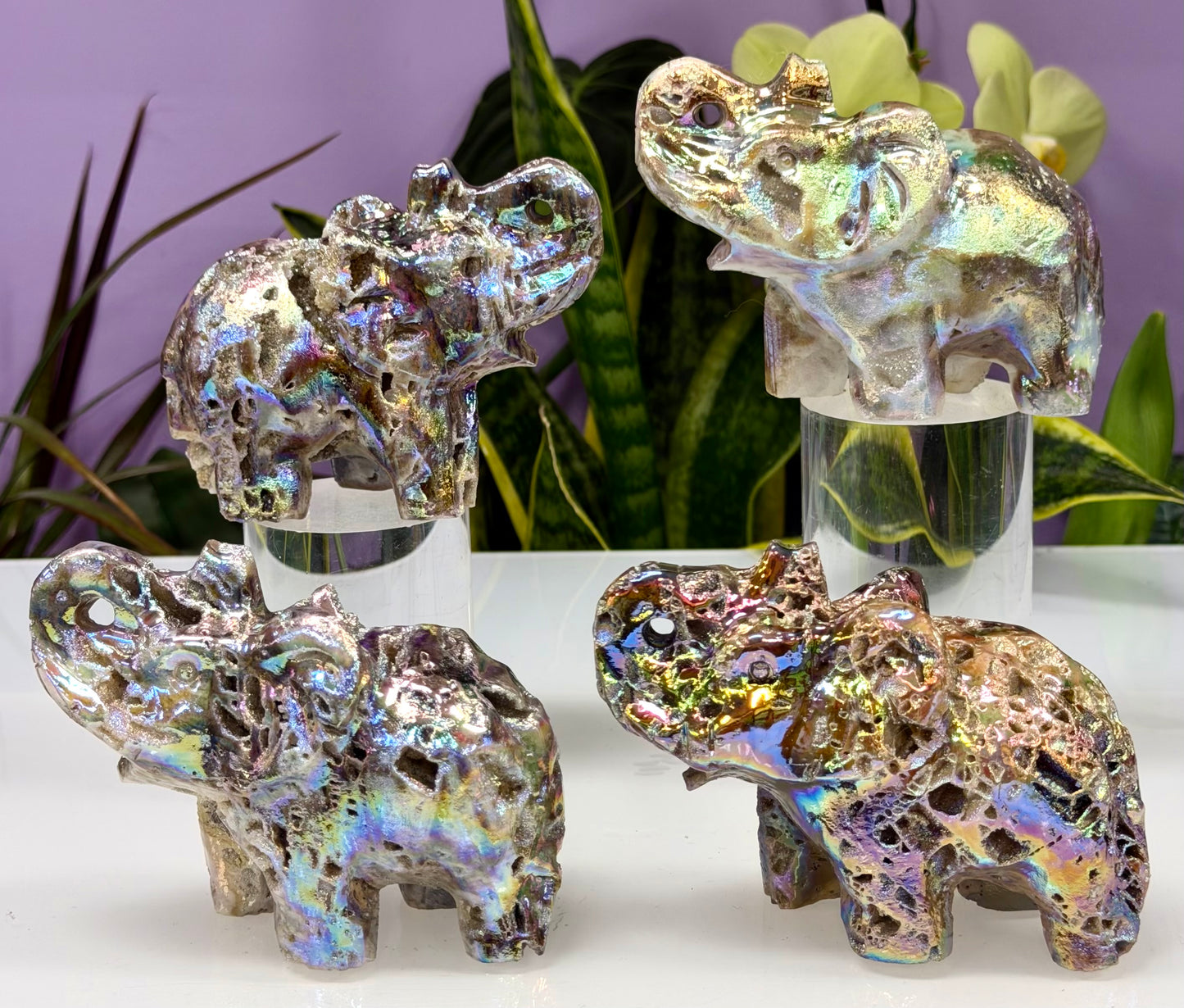 Wholesale Lot 4 Pcs Aura Sphalerite Elephant carvings Crystal healing energy