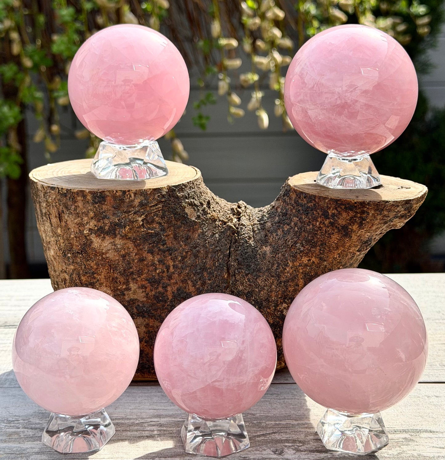 Wholesale Lot 5 PCs Natural Rose Quartz Spheres Crystal Ball very nice quality 3.9-4lbs