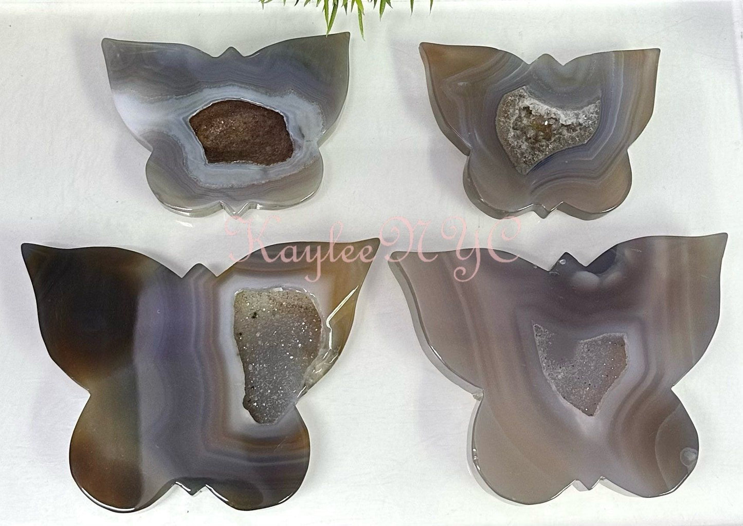 Wholesale Lot 4-5 Pcs Natural Druzy Agate Butterfly Crystal healing energy