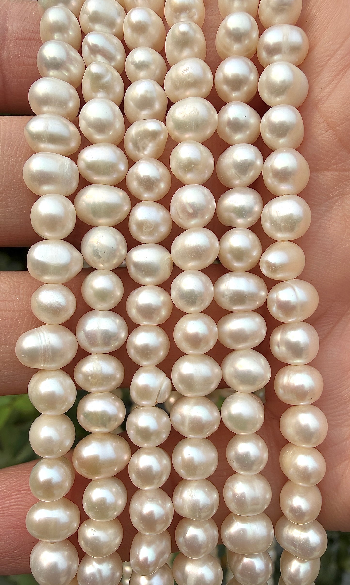 6 PCs 6 pcs ~6mm Natural Freshwater Pearl Necklace Healing Energy