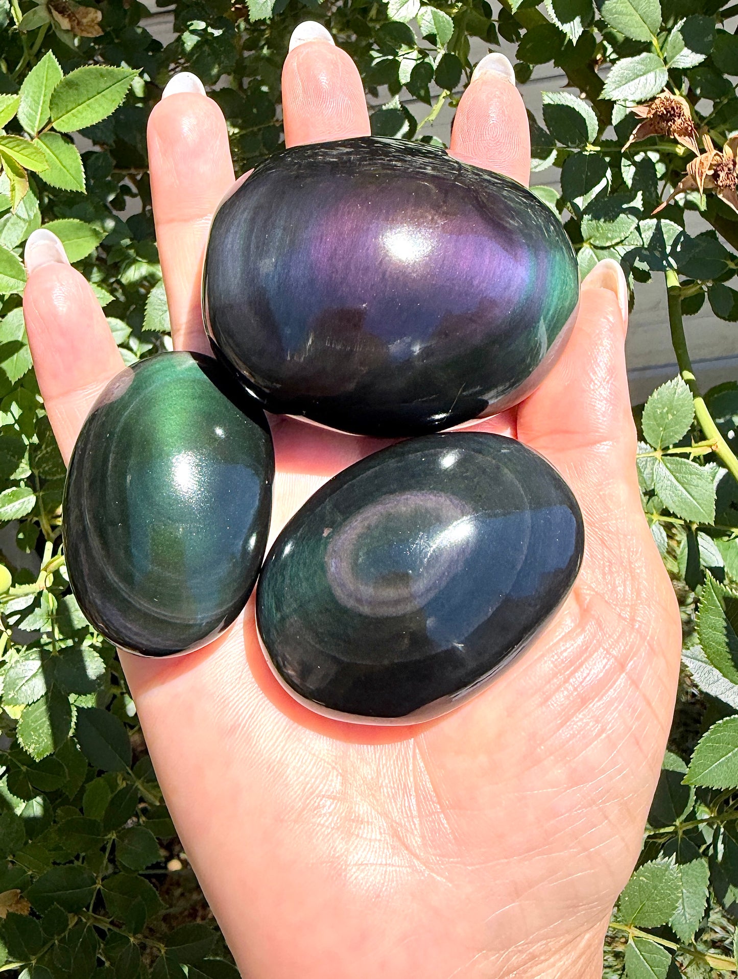 Wholesale 2 Lb Lot Natural Rainbow Obsidian Palm Stones Crystal Energy