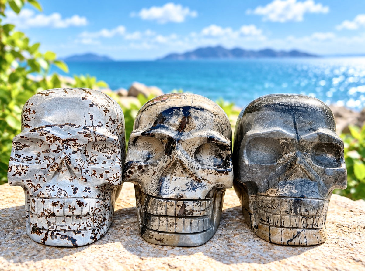 Wholesale lot 3 Pcs Natural Picture Jasper Crystal Skulls Healing Energy