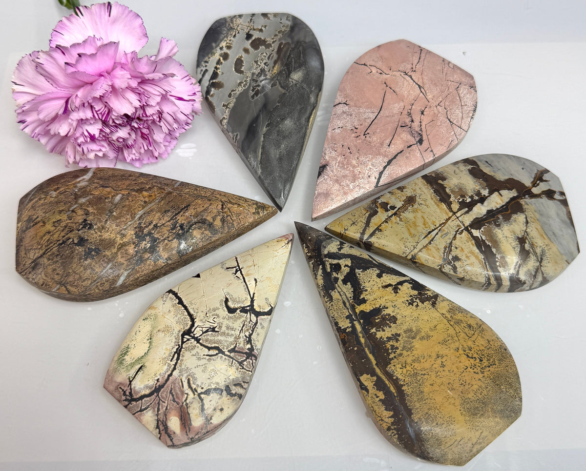 6PCs Natural Picture Jasper Freeform Crystal Healing