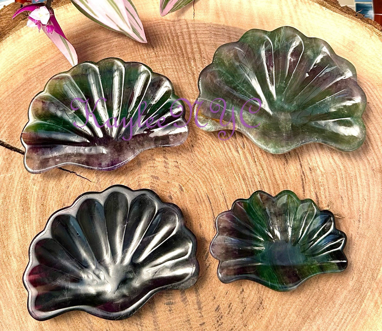 Wholesale Lot 4-6 pcs Natural Fluorite Shell Bowls Crystal Healing Energy 1.9-2lbs