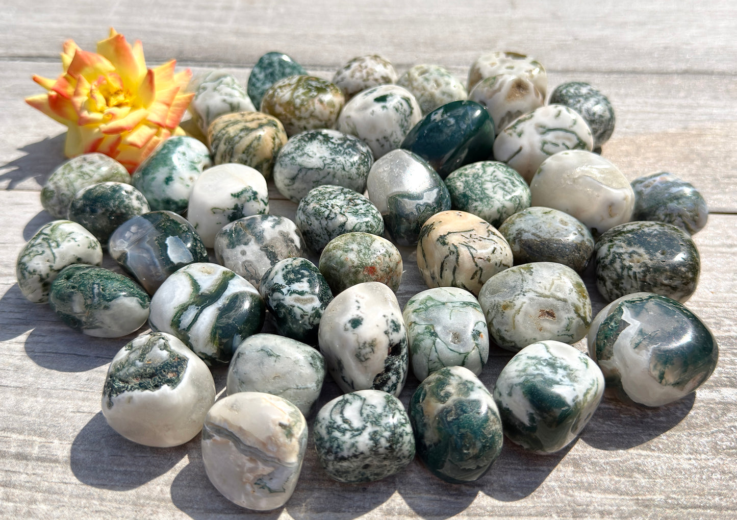 Wholesale Lot 2 lbs Natural Moss Agate Tumble Crystal Healing Energy