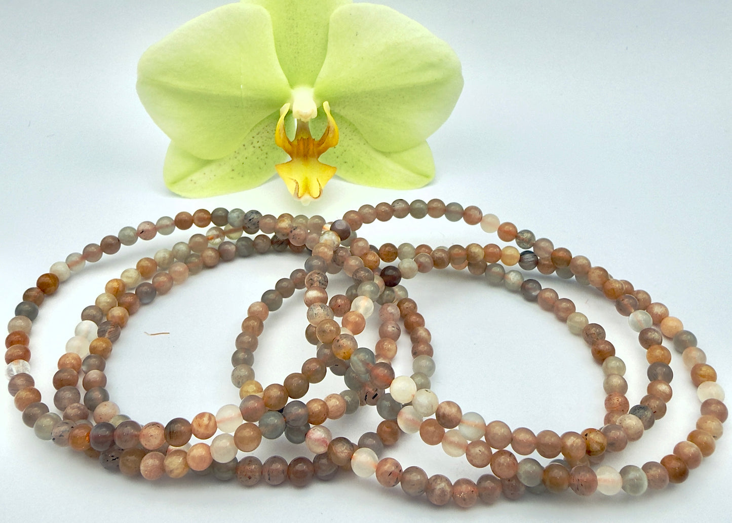 Wholesale Lot 6 Pcs Natural Black Moonstone 4mm 7.5” Crystal Healing Stretch Bracelet