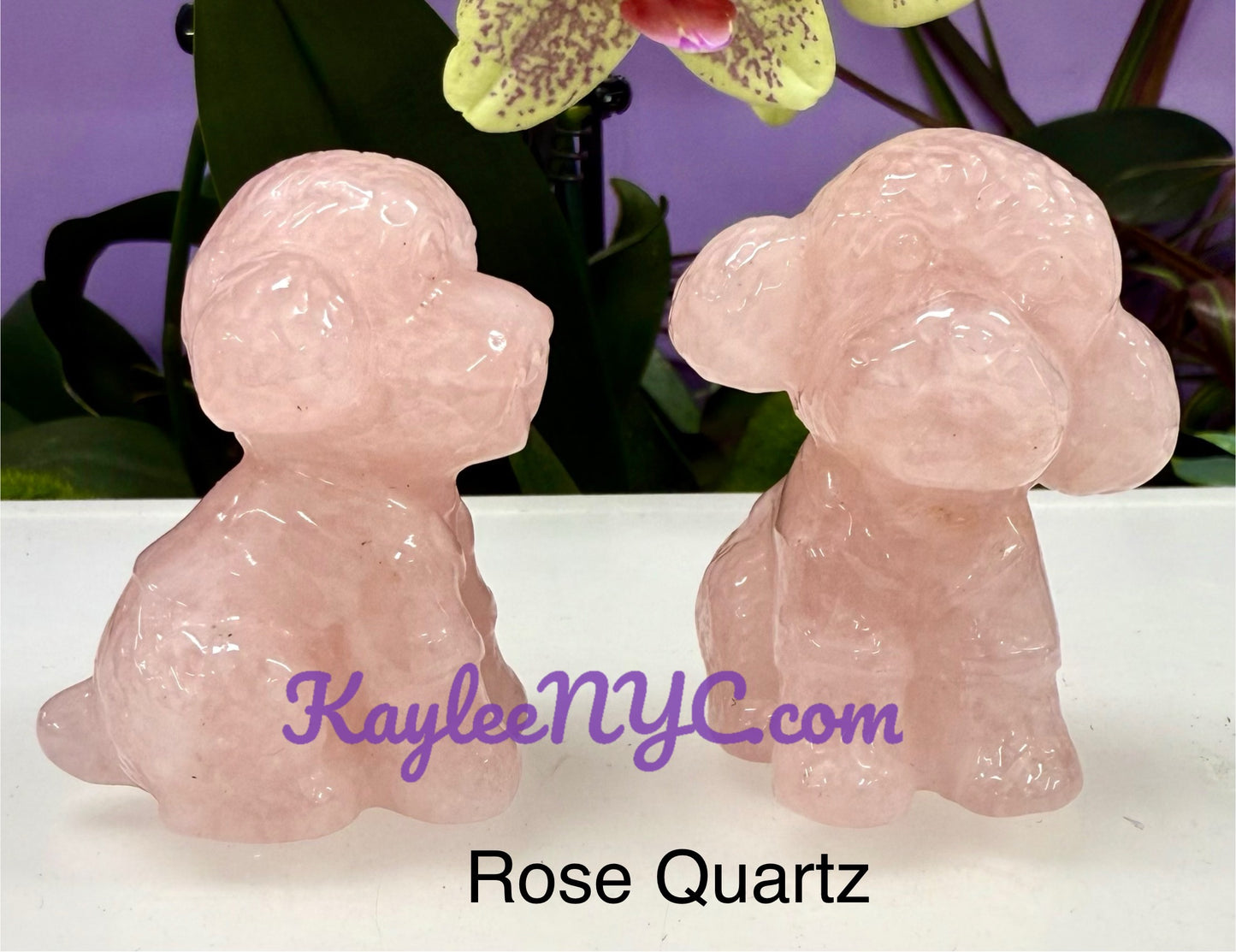 Wholesale Lot 6 pcs Natural Crystals Toy Poodle Healing Energy