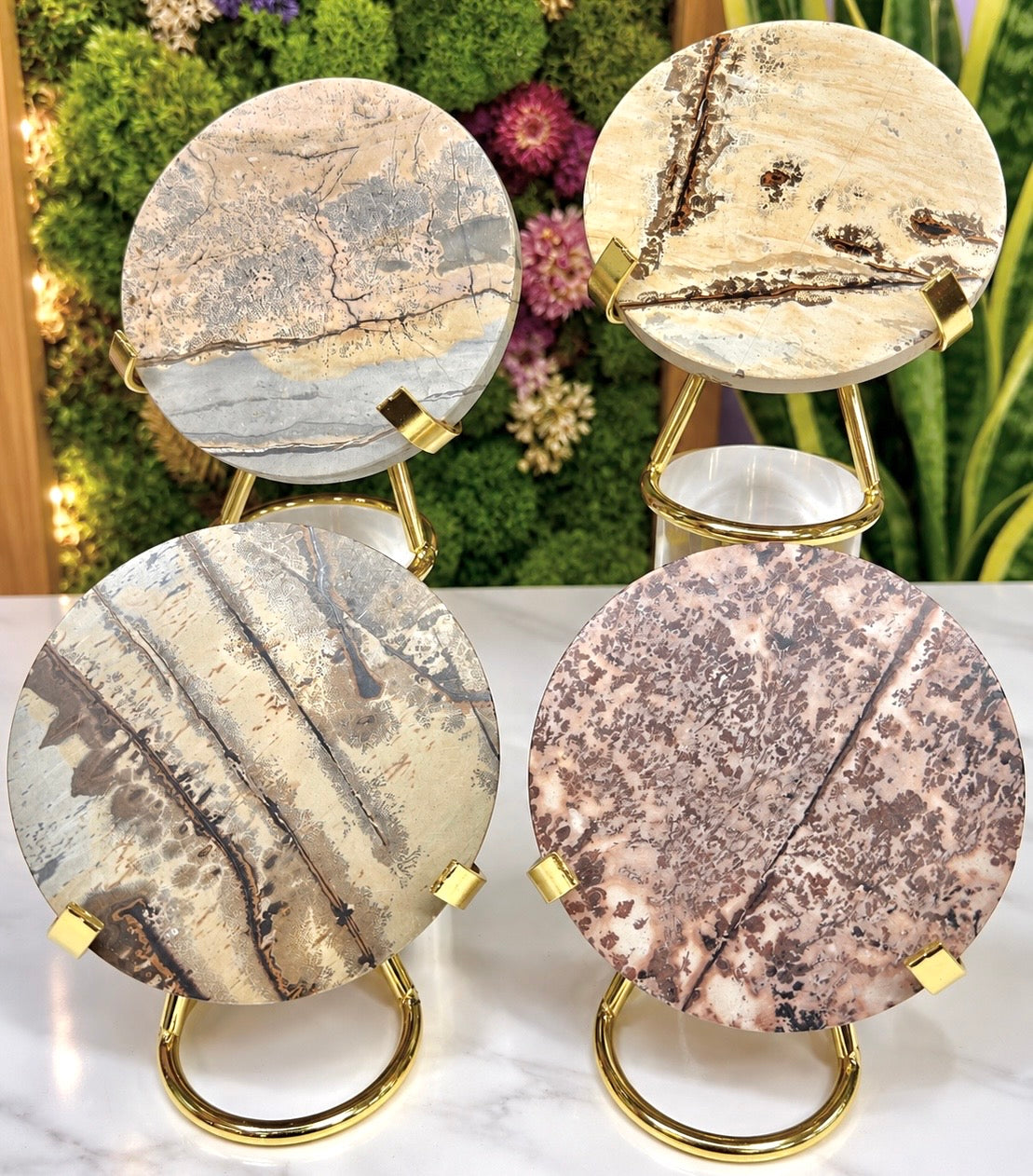 Wholesale Lot 4 pcs Natural Picture Jasper Slab with stand Crystal Healing Energy