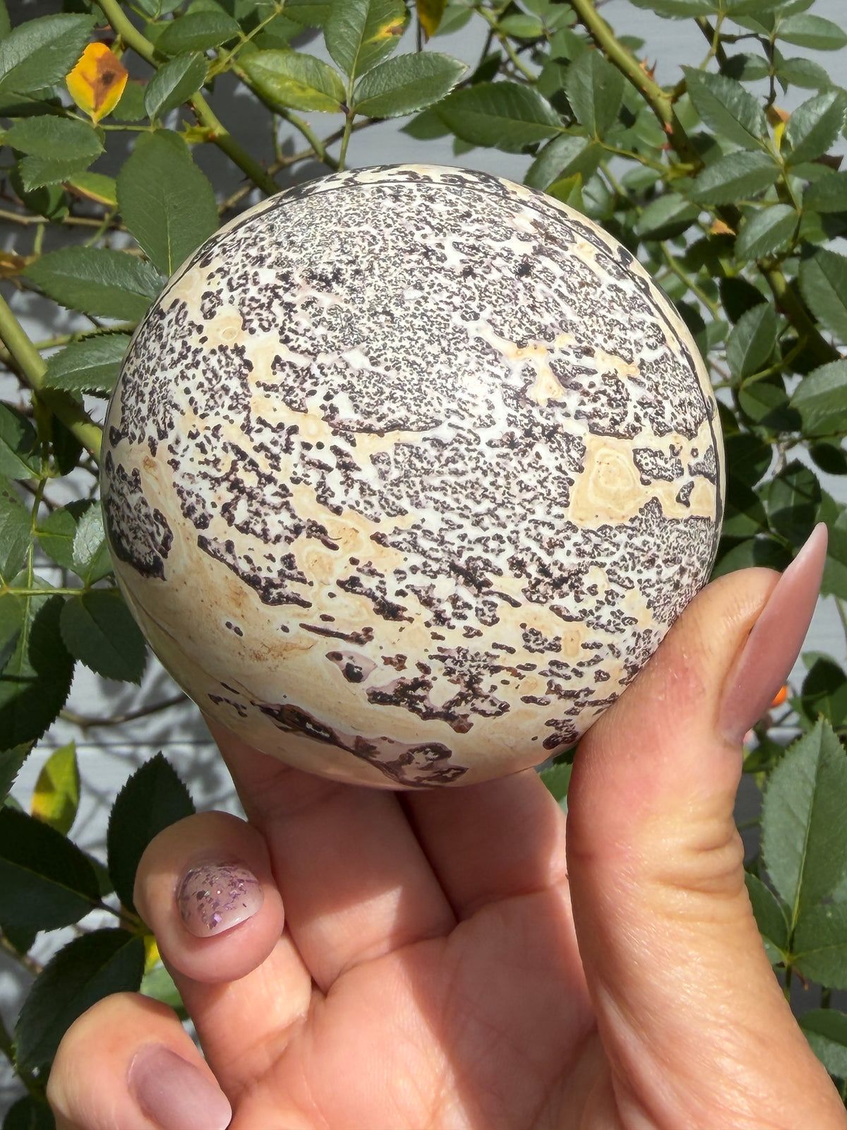 Wholesale Lot 3 Pcs Natural Picture Jasper Sphere Crystal Healing