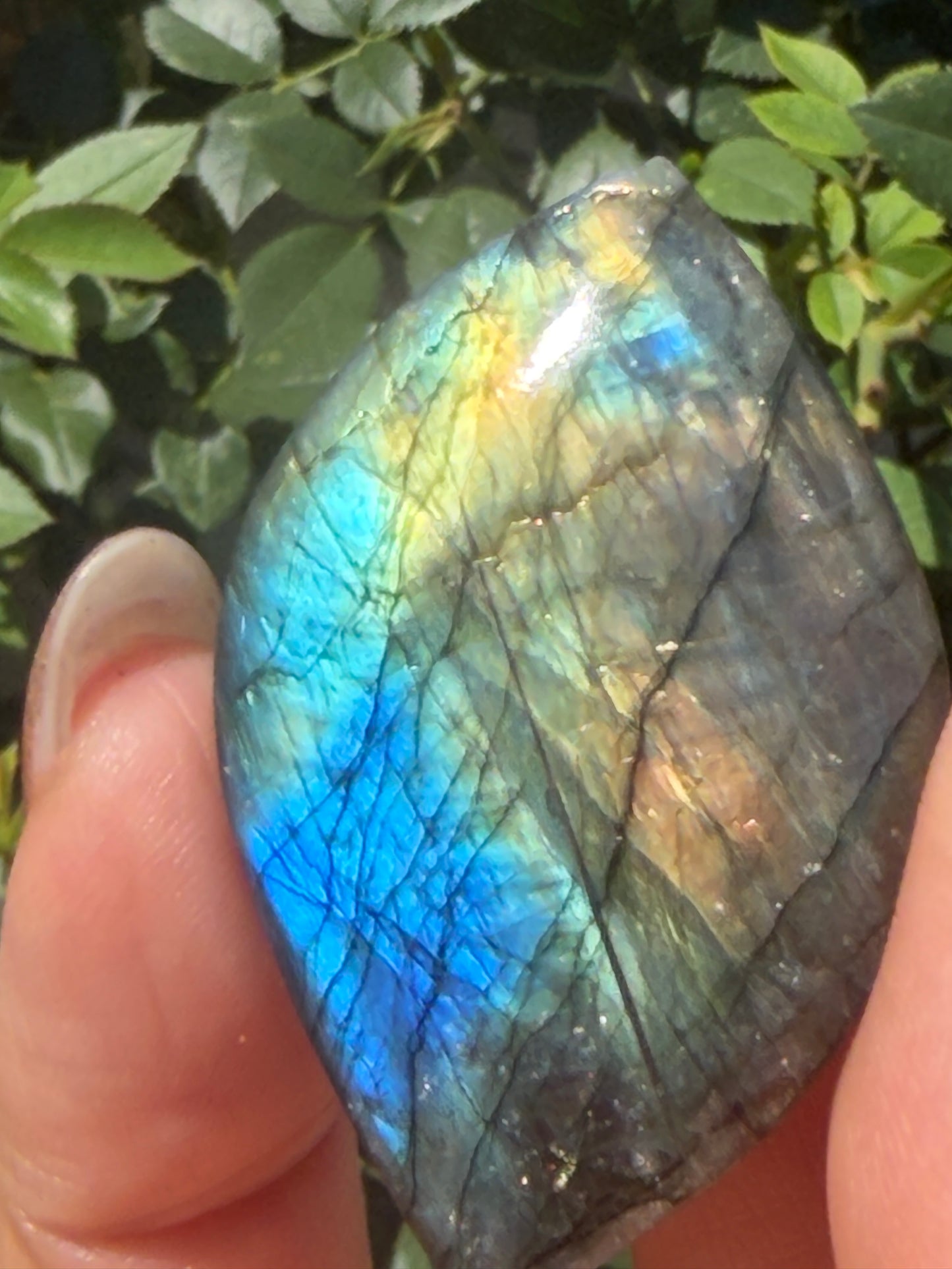 Wholesale Lot 12 pcs Natural Labradorite Cabochon Crystal Healing Energy