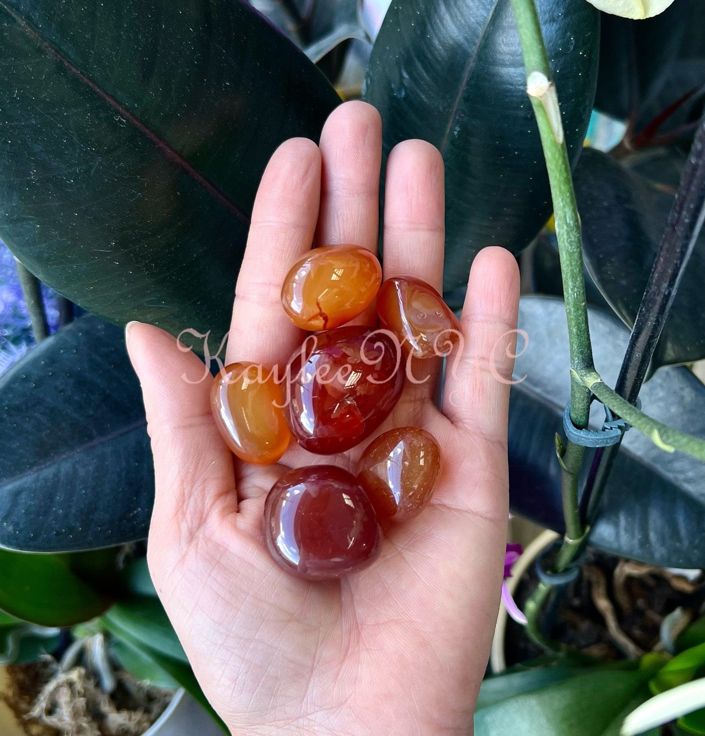 Wholesale Lot 2 Lbs Natural Carnelian Tumble Healing Energy Nice Quality