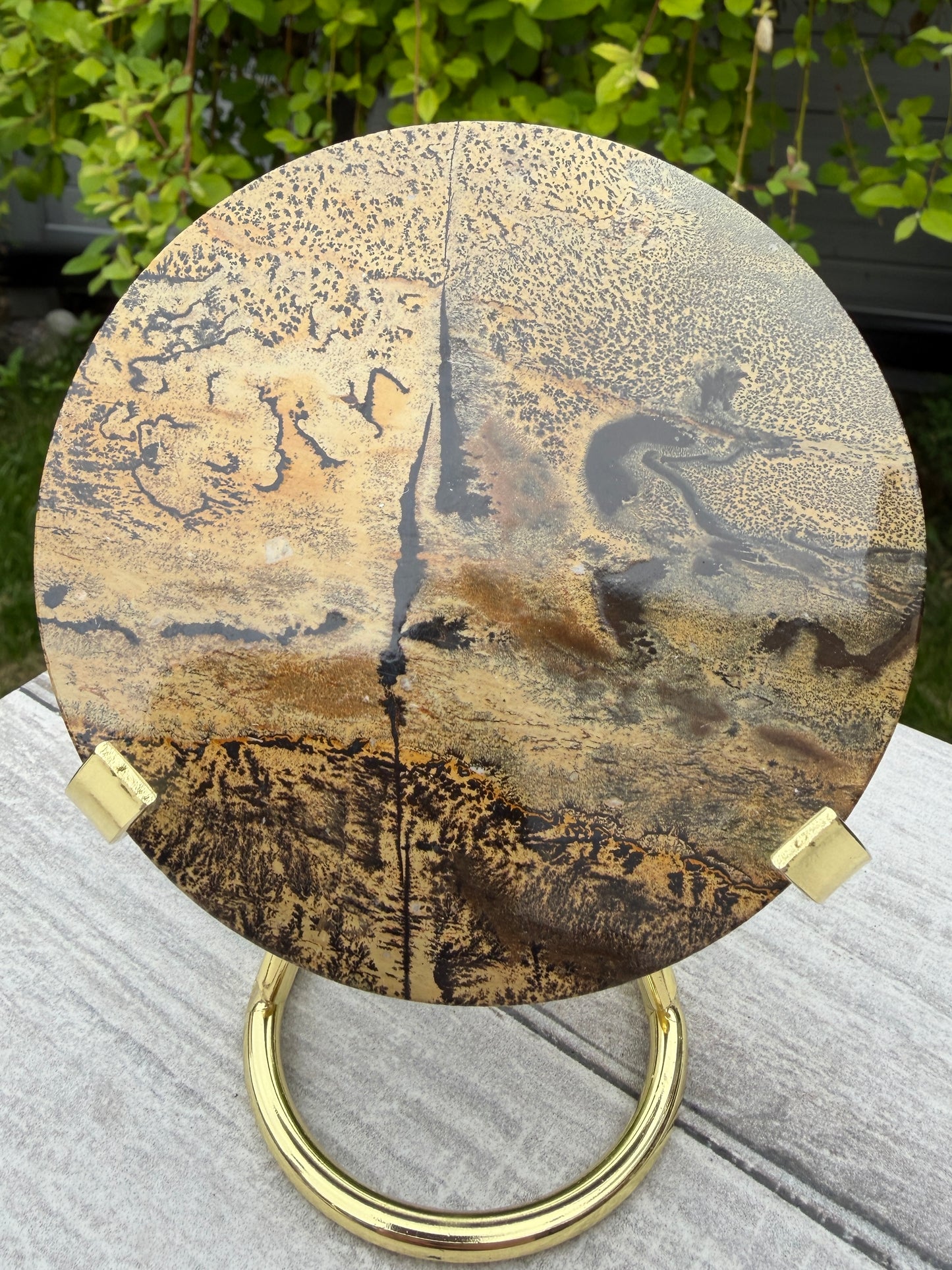Wholesale Lot 4 pcs Natural Picture Jasper Slab with stand Crystal Healing Energy