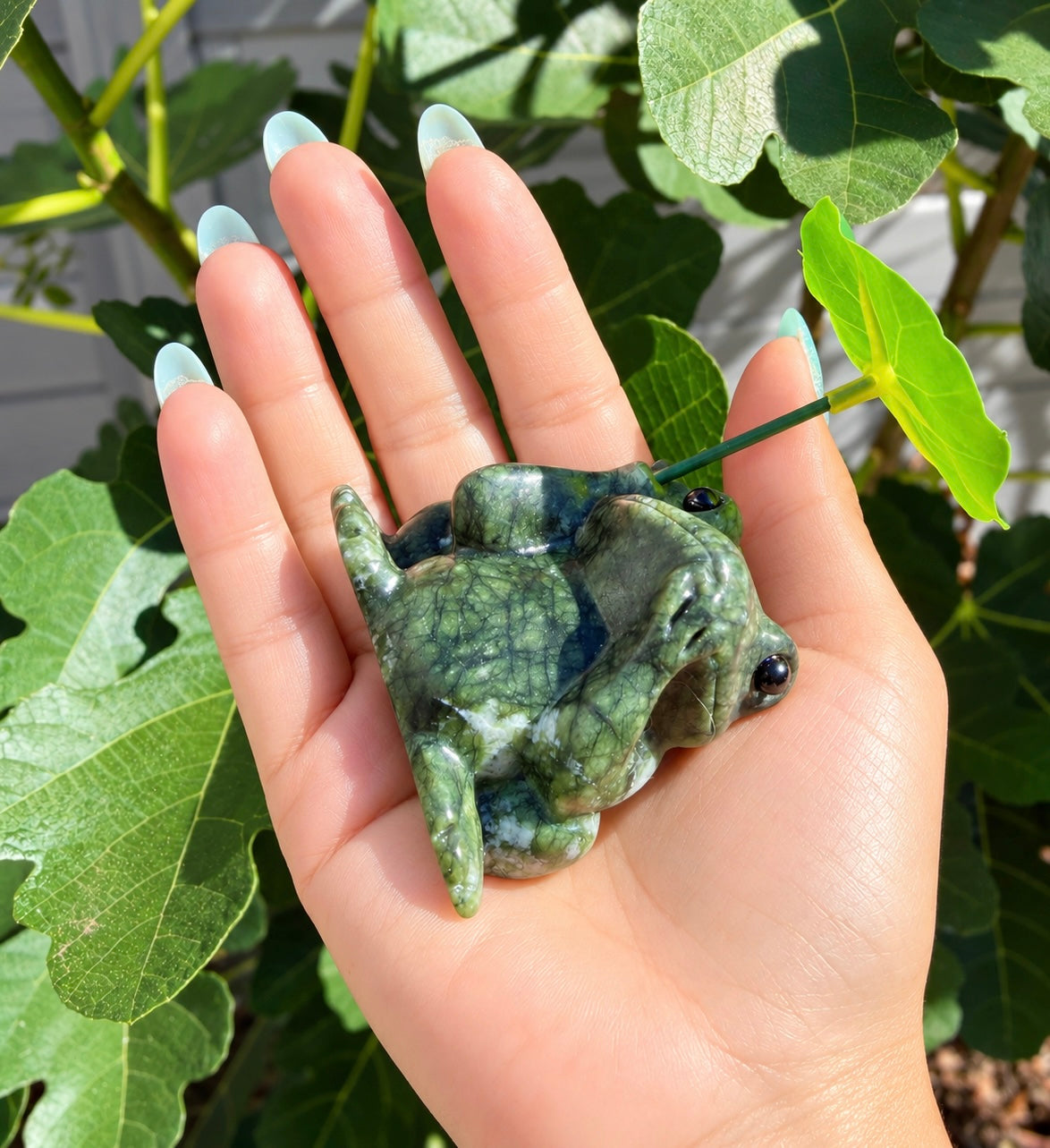 6 PCs Natural Nephrite Jade Frogs with Leaf healing energy
