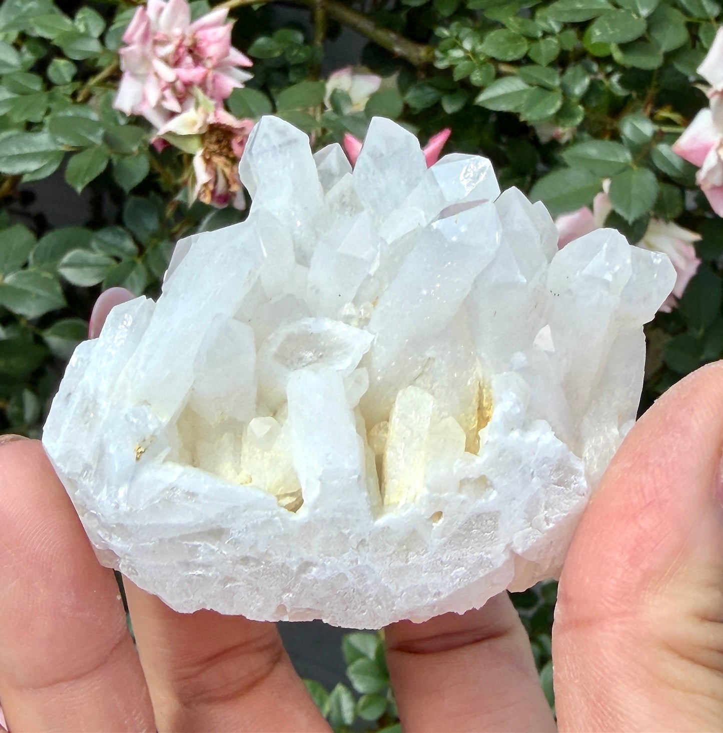 Wholesale Lot 4-6 pcs Natural Druzy Quartz Cluster Rough Crystal Healing Energy