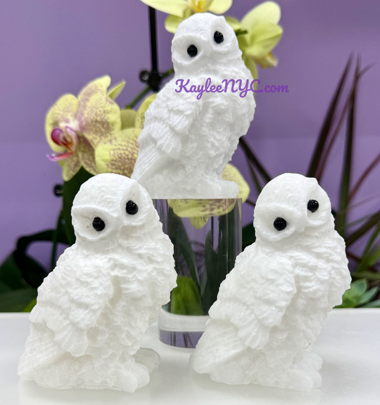 3 PCs Natural Snow Quartz Owls Crystals Healing Energy