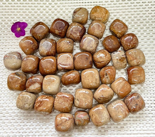 Wholesale Lot 2 Lbs Natural Yellow Jasper Tumble Healing Energy Nice Quality