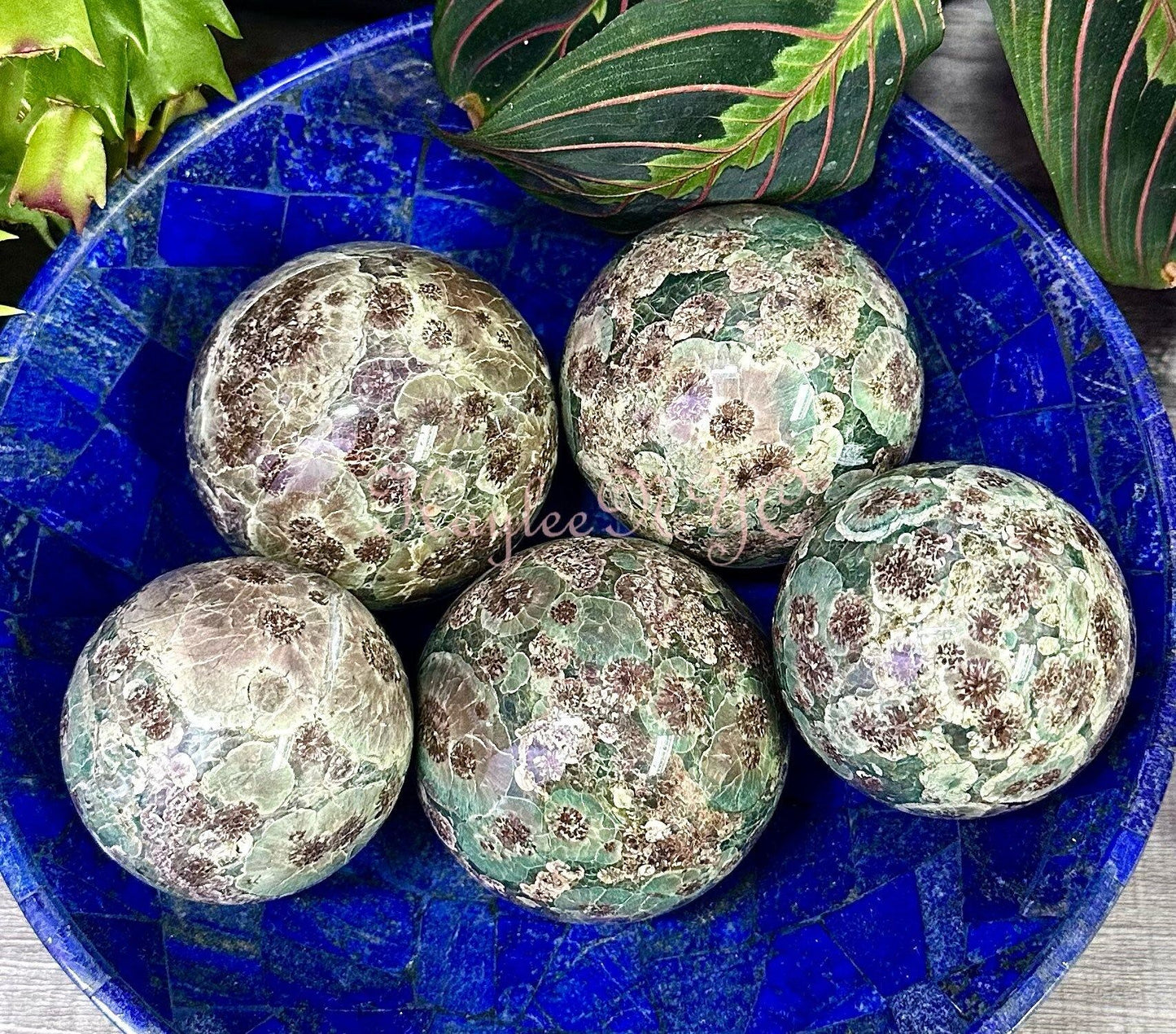 Wholesale Lot 5 Pcs 3.8 to 4 lbs Natural Green Flower Jasper Spheres Crystal Ball nice quality