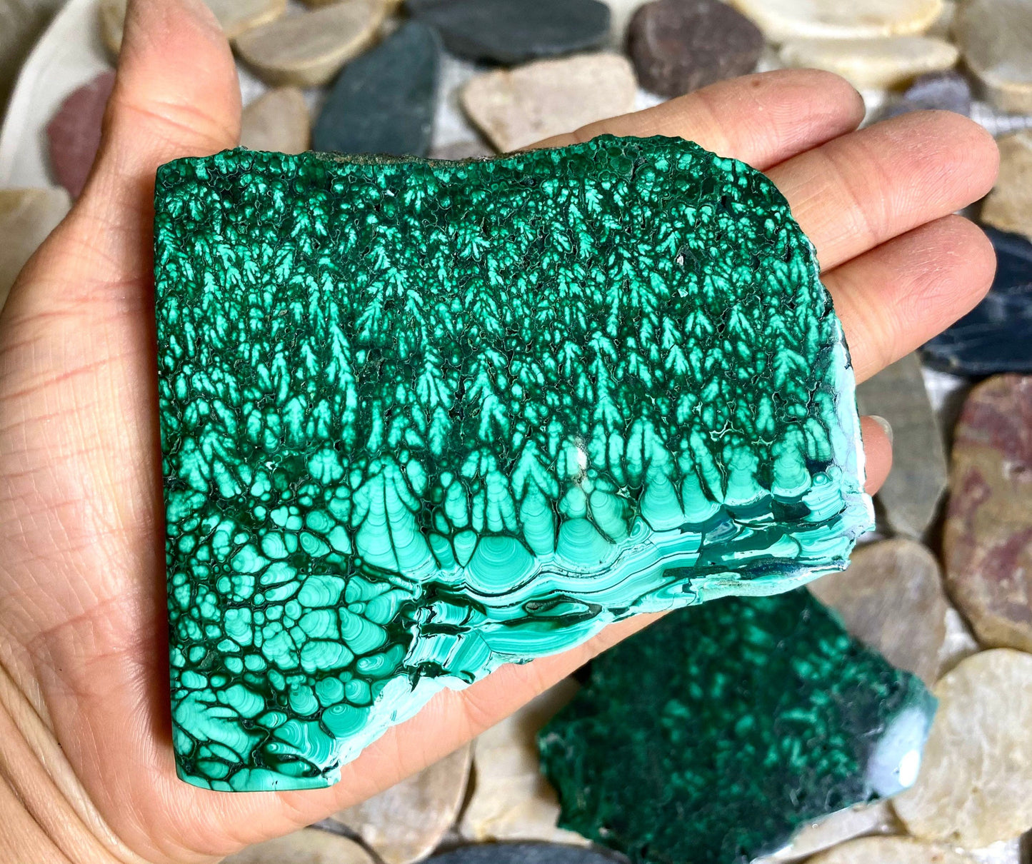 Wholesale Lot 3-5PCs  Natural Malachite Slab Crystal Nice Quality Healing Energy 1.9 to 2 lbs