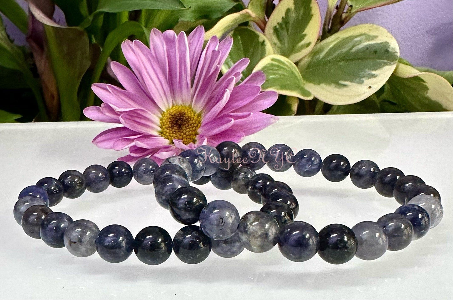 Wholesale Lot 6 Pcs Natural Iolite 8mm 7.5” Crystal Healing Stretch Bracelet